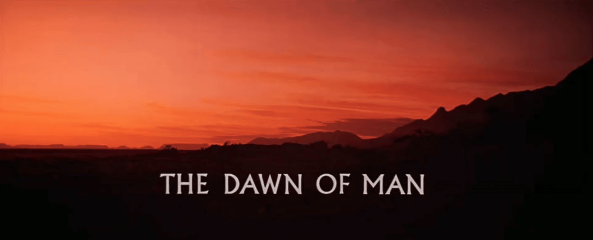 Pure Cinema: 2001: A Space Odyssey "Dawn of Man" Sequence