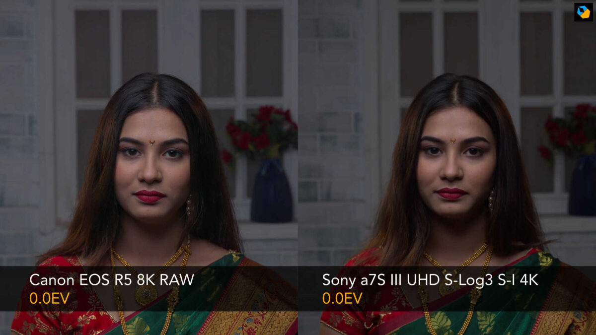 Sony-a7S-III-vs-Canon-EOS-R5-0EV | wolfcrow