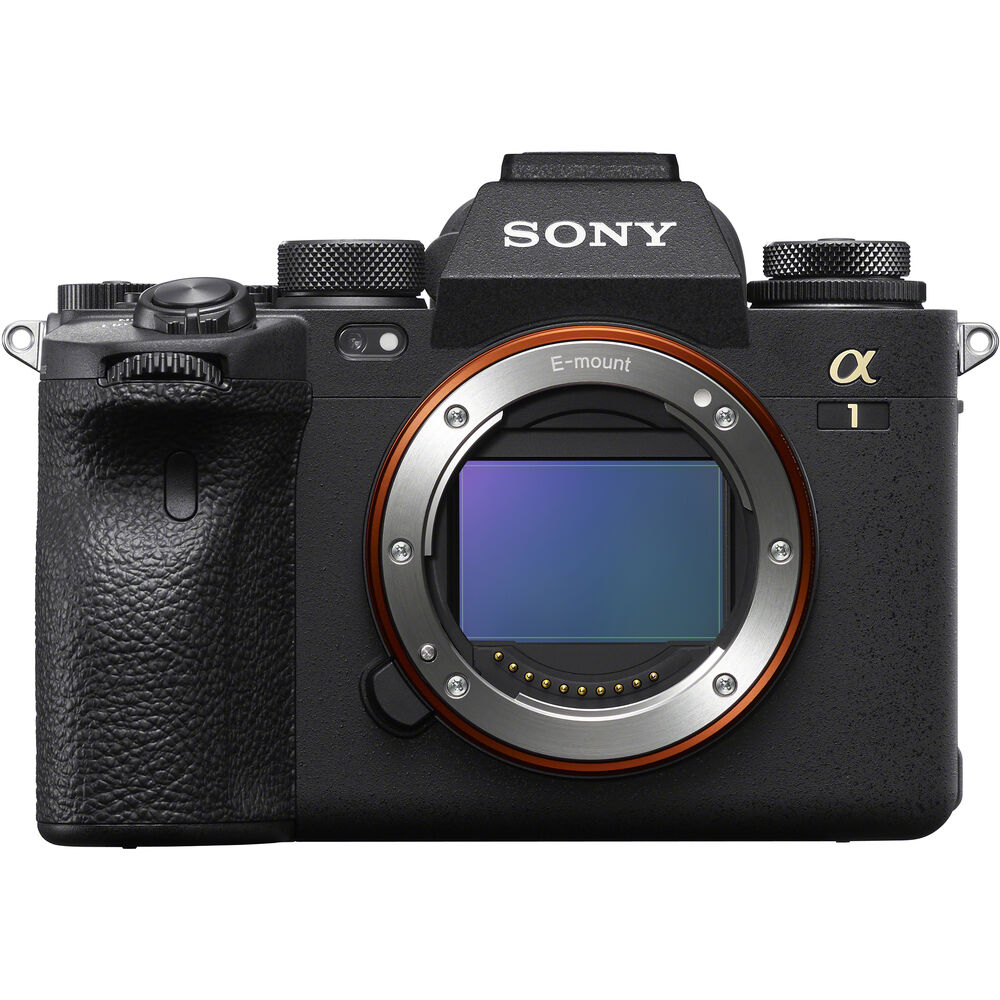 sony 1dx camera